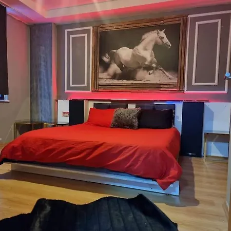 Oktay Cebeci 1+1